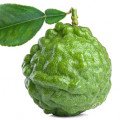 آهک کفیر Kaffir Lime