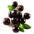 توت آکای Acai Berry