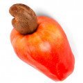 بادام هندی Cashew