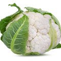 گل کلم Cauliflower