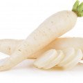 تربچه دایکون Daikon Radish