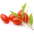 گوجی بری Goji Berries