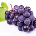 ایزابلا گریپ Isabella Grape