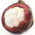 منگوستین Mangosteen