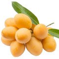 آلو ماریان Marian Plum