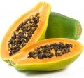 پاپایا Papaya