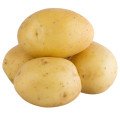 سیب زمینی Potato