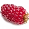 تایبری Tayberry