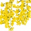 لابورنوم Laburnum