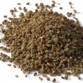 دانه کرفس Celery Seeds