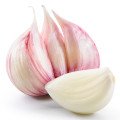 سیر Garlic