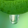 شیره سبز Green Sap