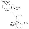 آمبرین Ambreine