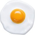 تخم مرغEgg