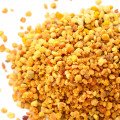 گرده Pollen