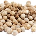 گشنیز coriander